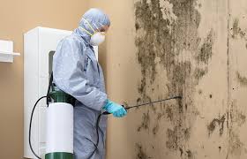 Best Biohazard Mold Removal  in Robinson, IL